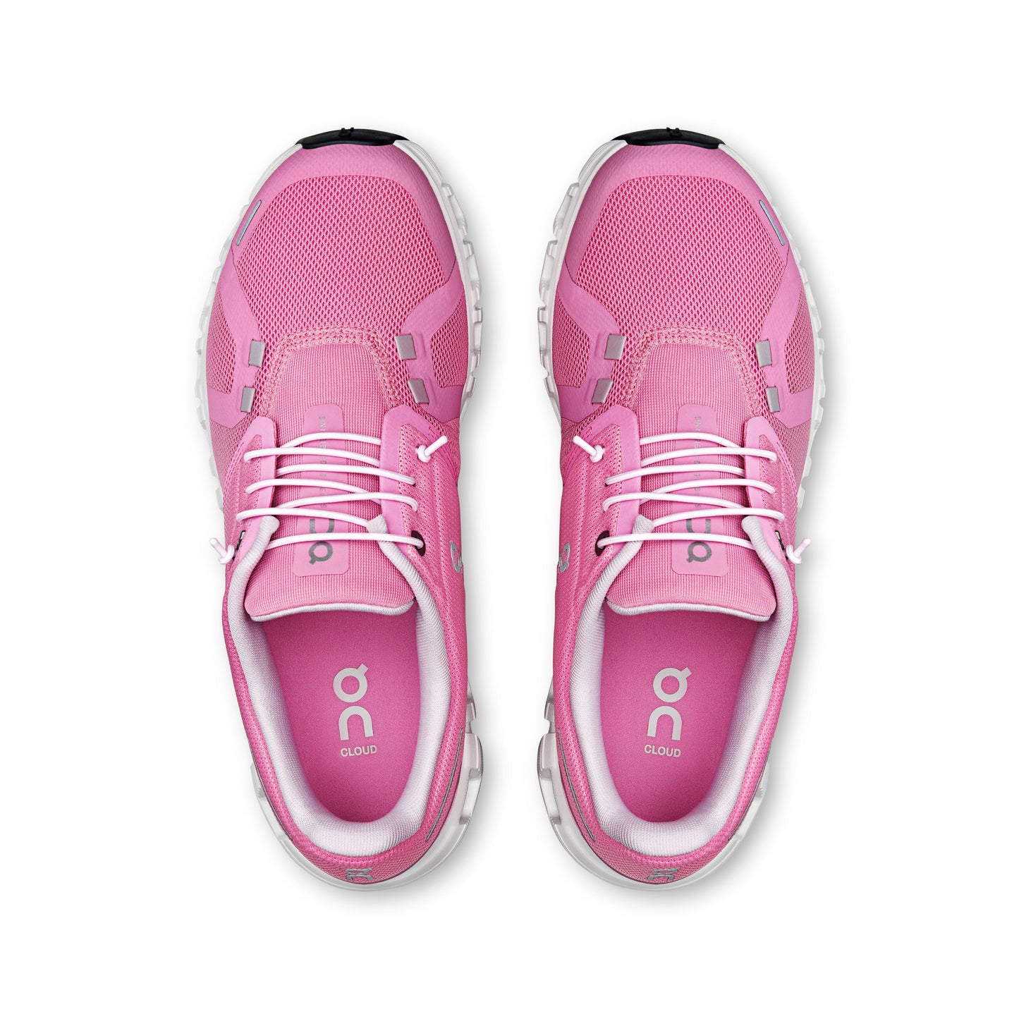 Cloud 6 Raspberry|White