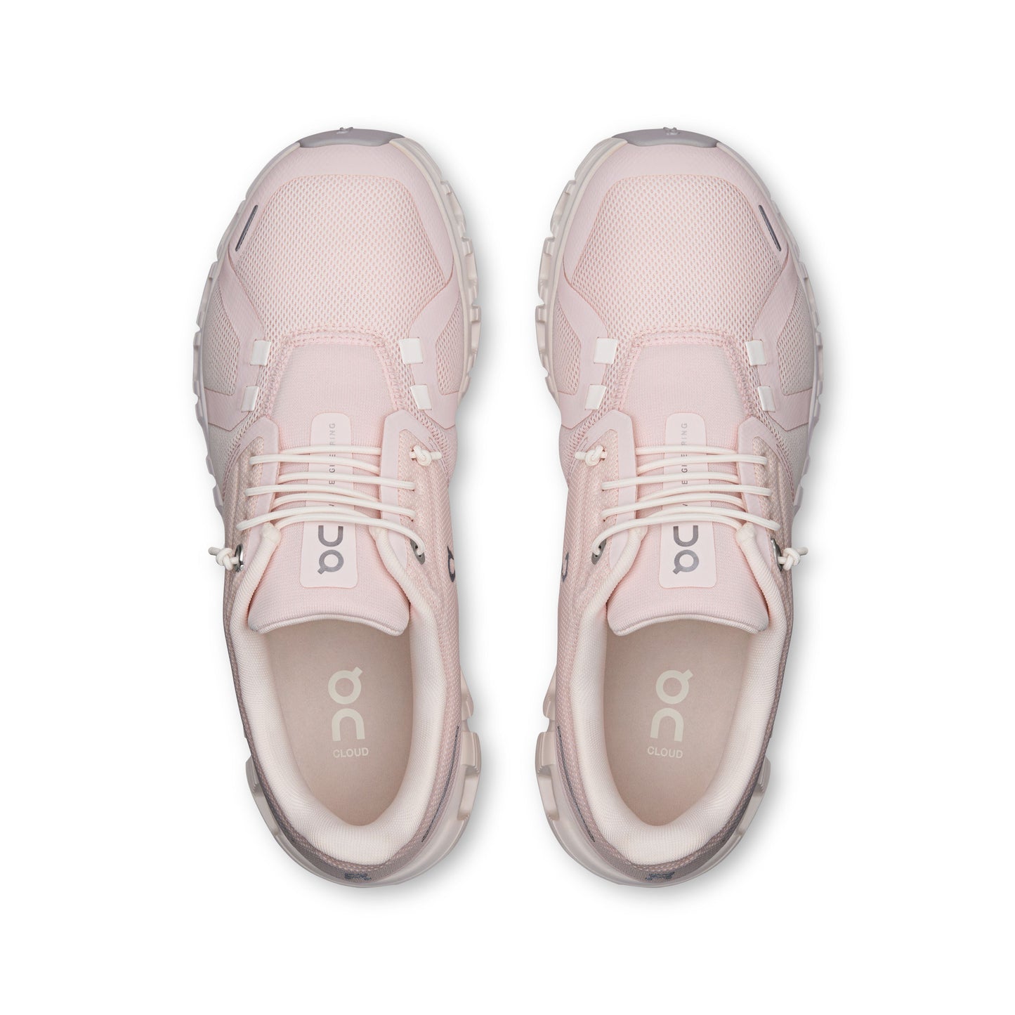 Cloud 6 Salt|Gardenia